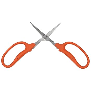 Amazon.com : Zenport Curved Scissors : Patio, Lawn & Garden
